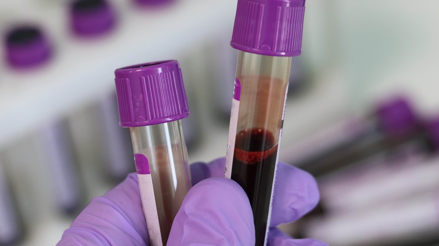 veterinary biobanking